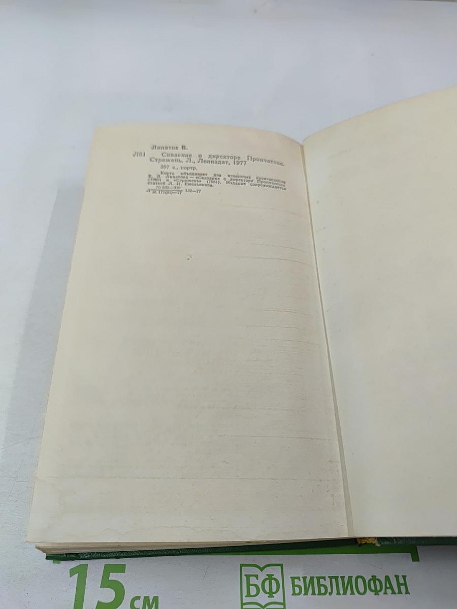 Сказание о директоре Прончатове. Стрежень
