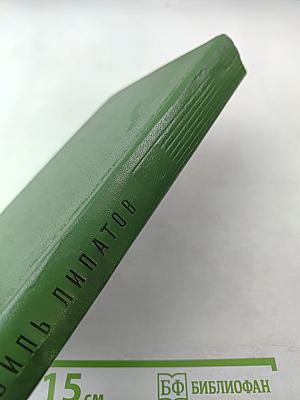 Сказание о директоре Прончатове. Стрежень