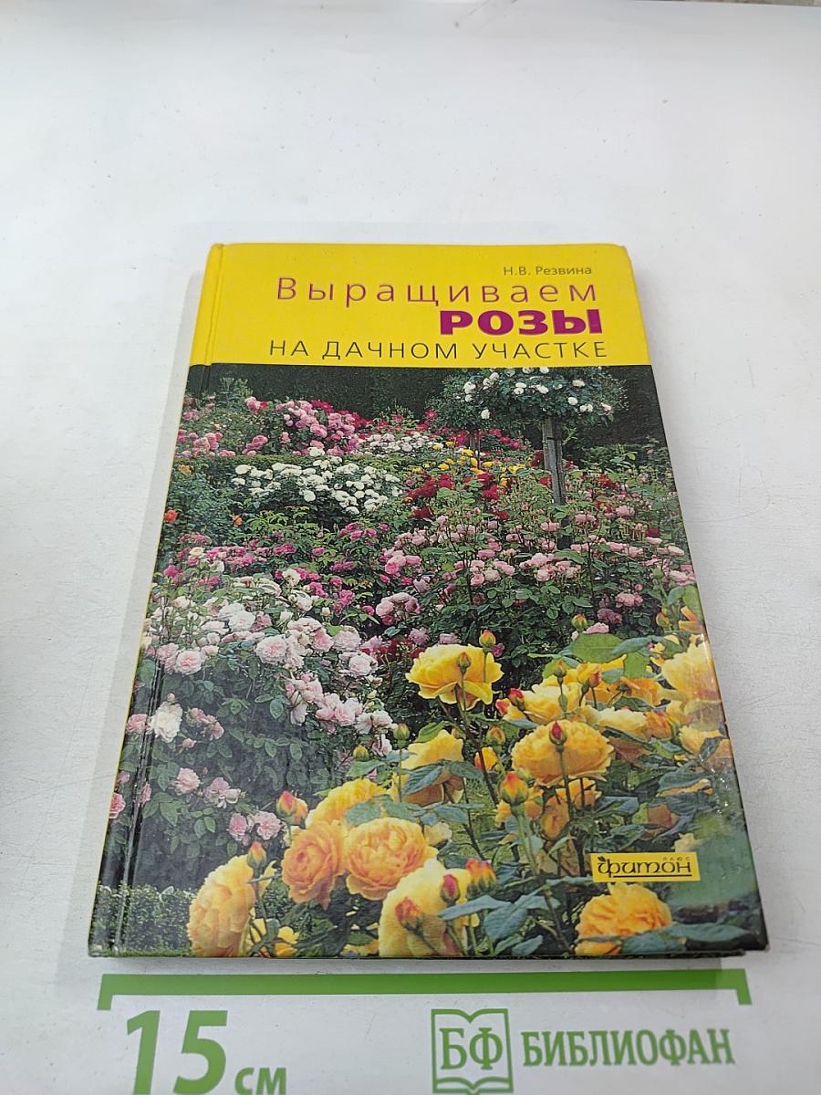 Выращиваем розы на дачном участке