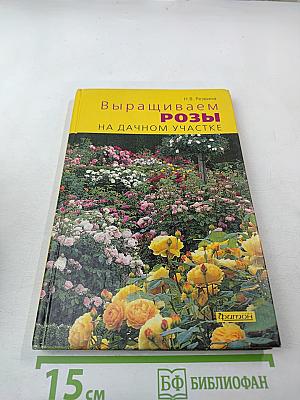 Выращиваем розы на дачном участке
