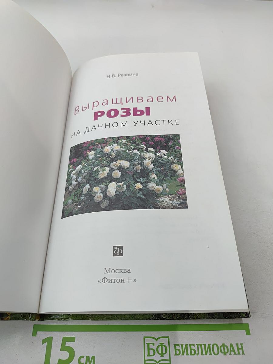 Выращиваем розы на дачном участке