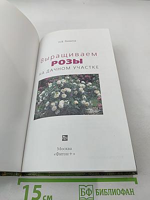 Выращиваем розы на дачном участке