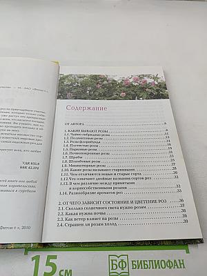 Выращиваем розы на дачном участке