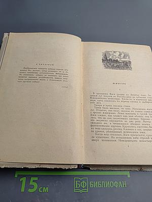 Каменных дел мастер