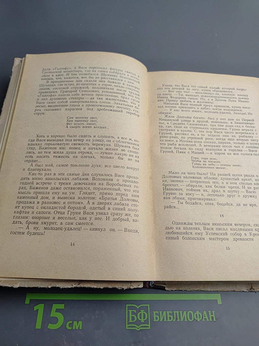 Каменных дел мастер