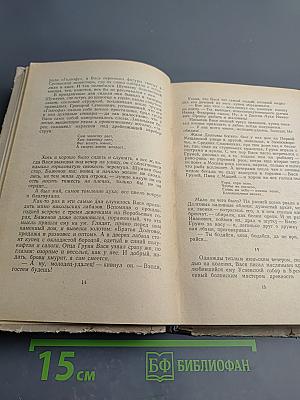 Каменных дел мастер