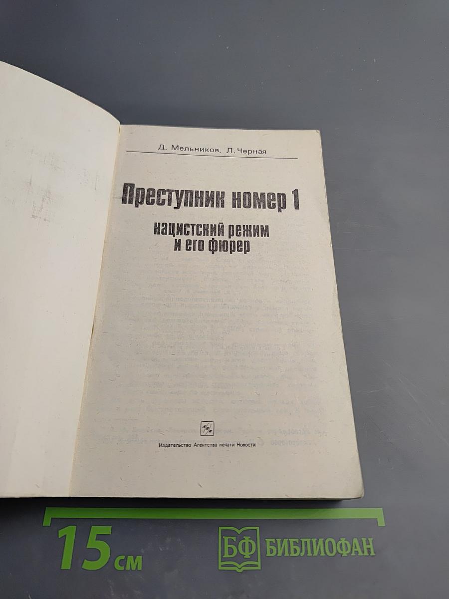 Преступник номер 1: нацистский режим и его фюрер