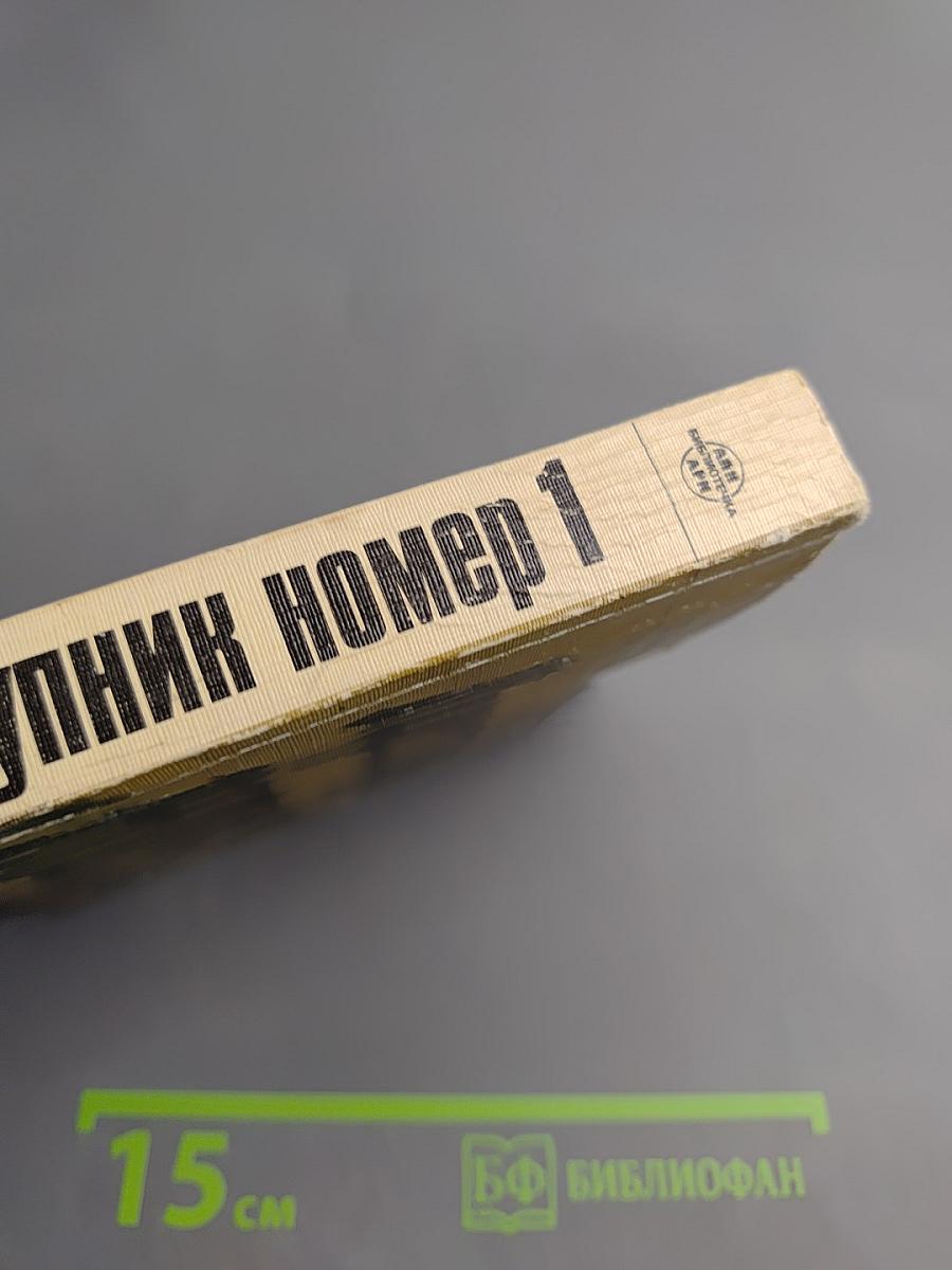 Преступник номер 1: нацистский режим и его фюрер