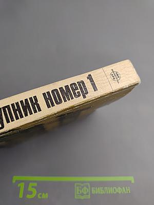 Преступник номер 1: нацистский режим и его фюрер