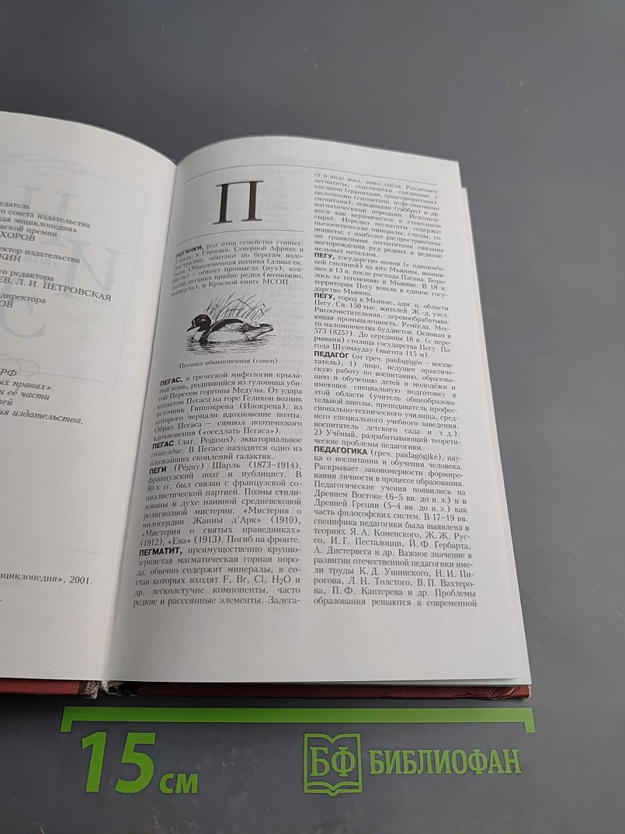 Новая иллюстрированная энциклопедия. Кн. 14. Пе-Пр