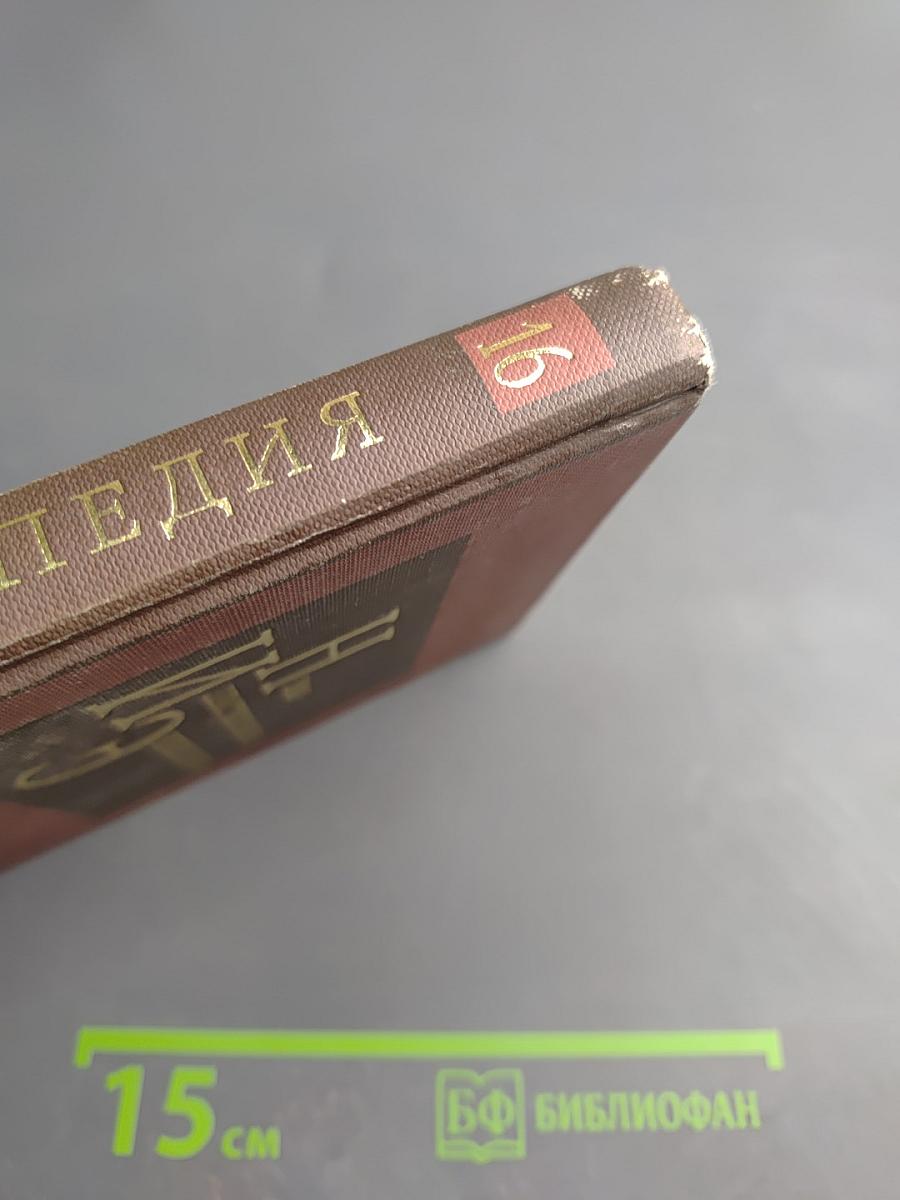 Новая иллюстрированная энциклопедия. Том 16. Ро-Ск