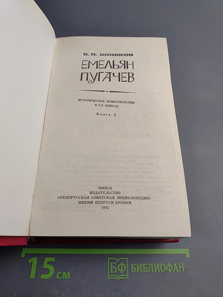 Емельян Пугачев. Книга 2