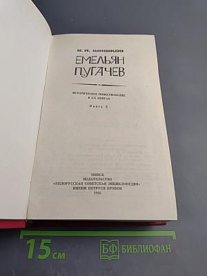Емельян Пугачев. Книга 2