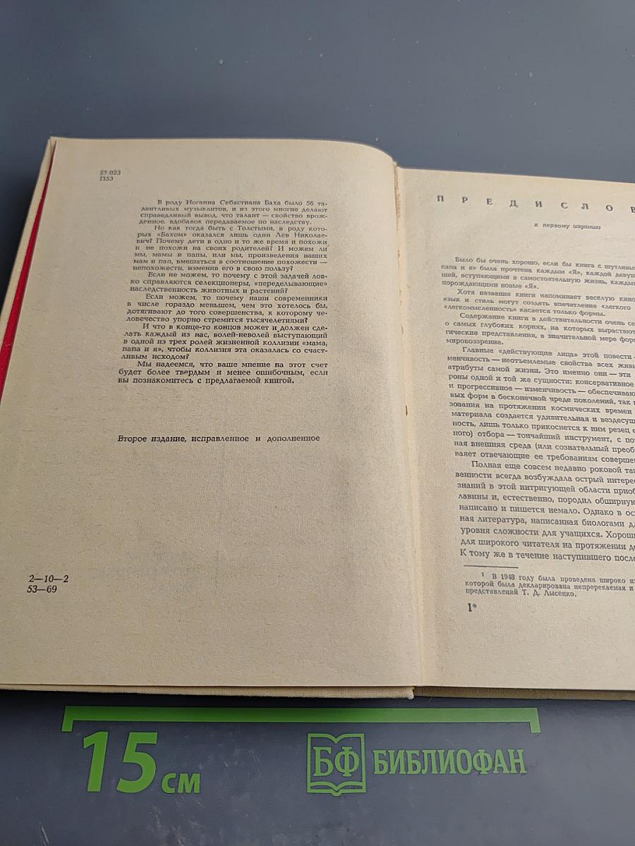 Мама, Папа и Я