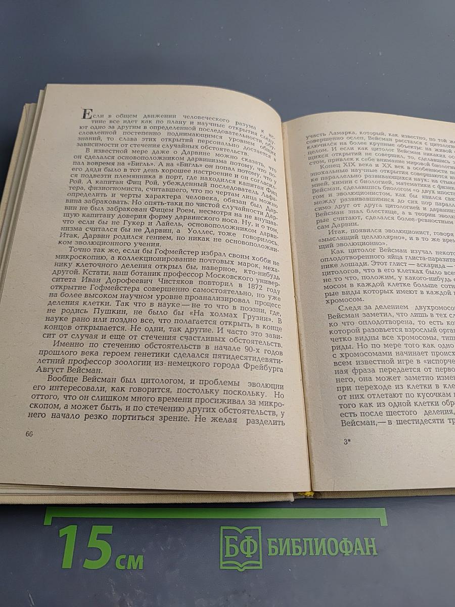 Мама, Папа и Я