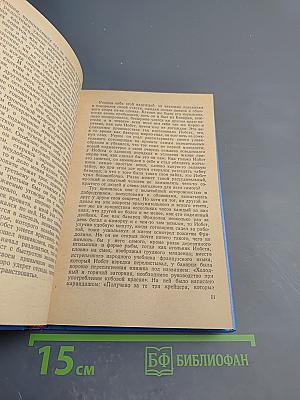 Сказка про котика Шпигеля