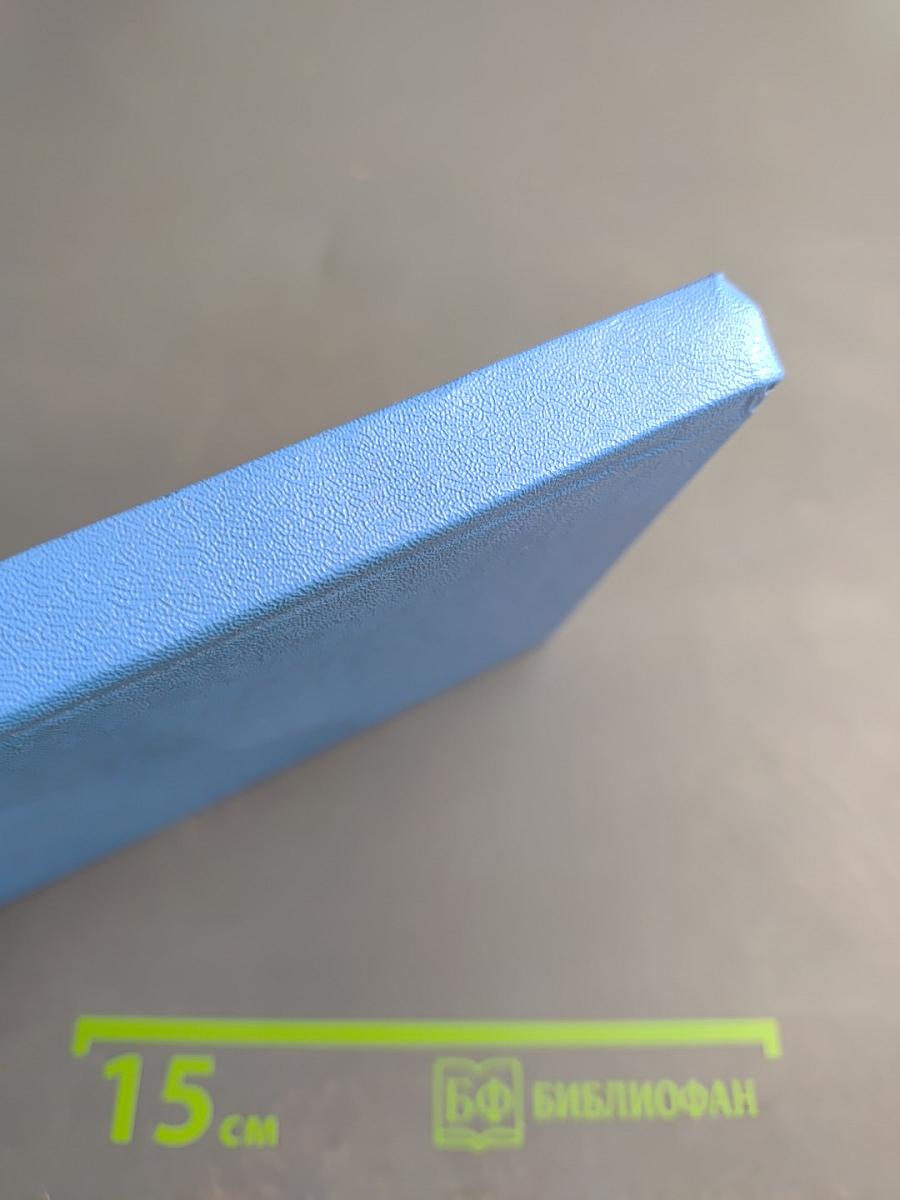 Сказка про котика Шпигеля