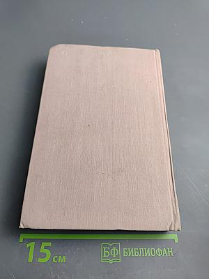 Тегеран. Книга вторая. Перед рассветом