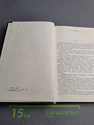 Иду на грозу