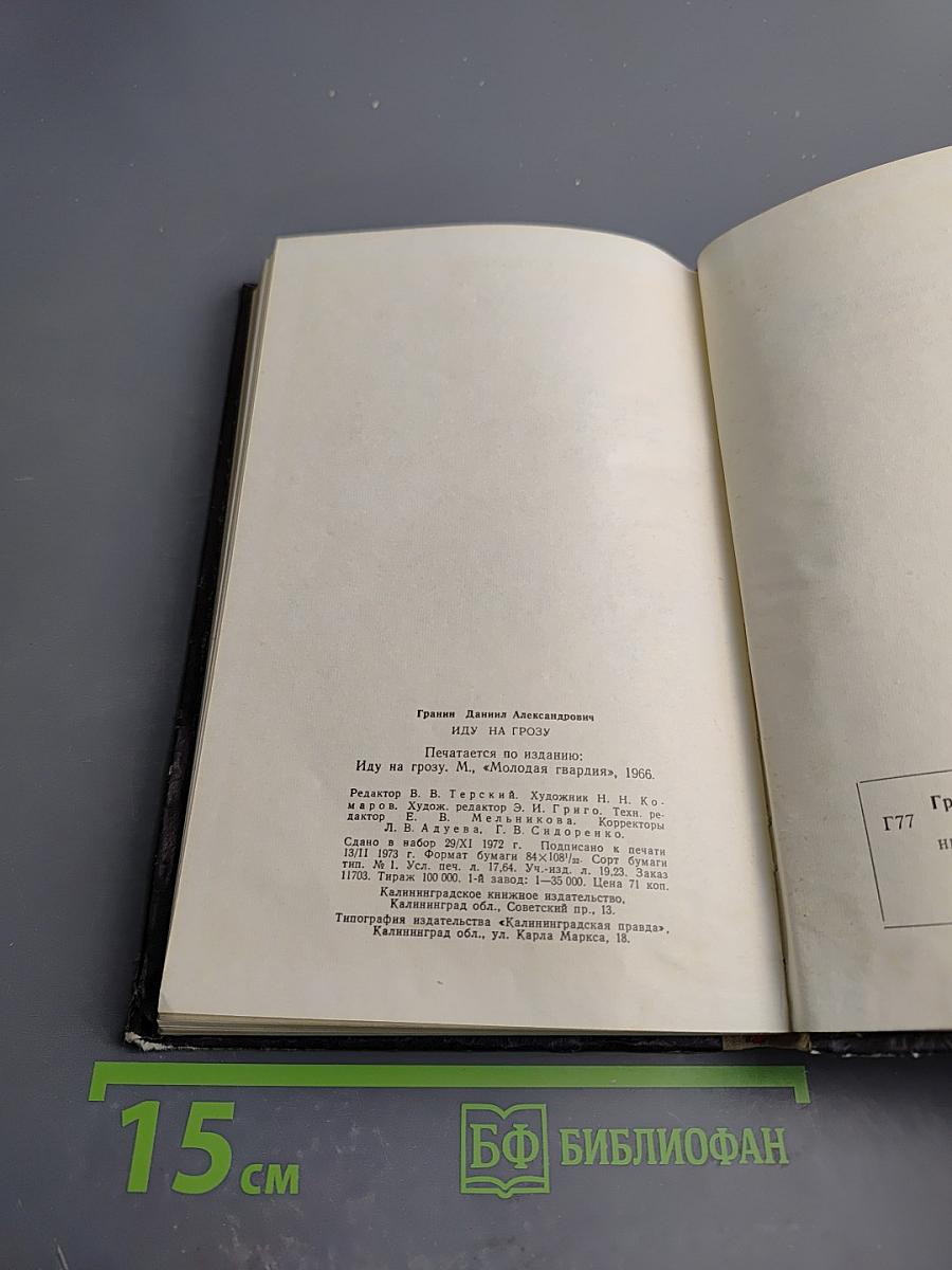 Иду на грозу