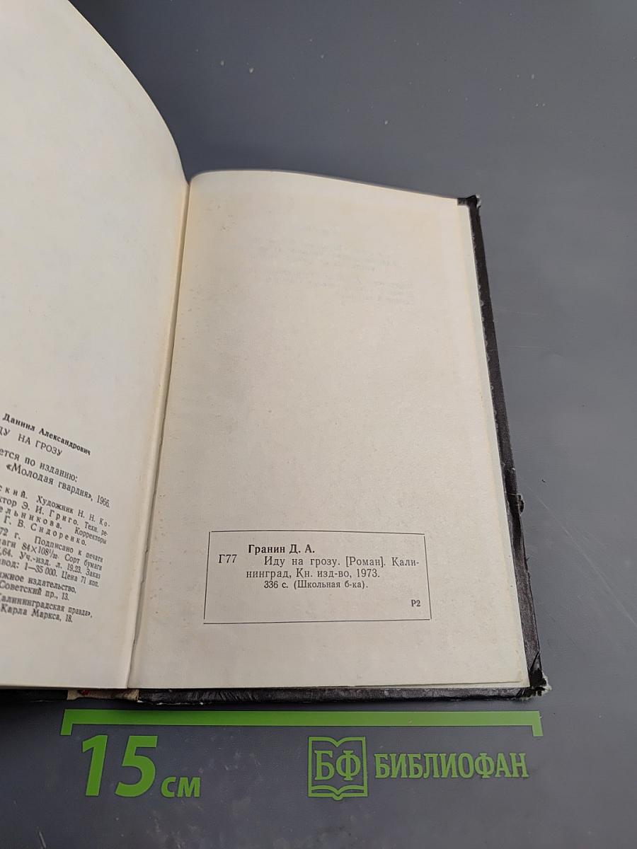 Иду на грозу