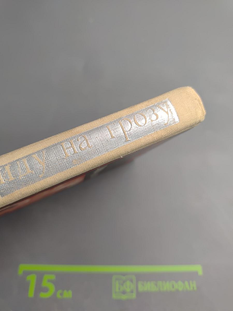 Иду на грозу