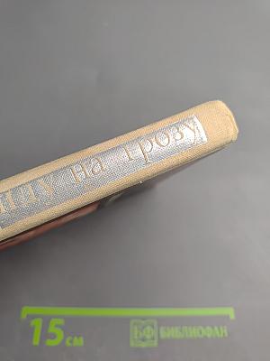 Иду на грозу