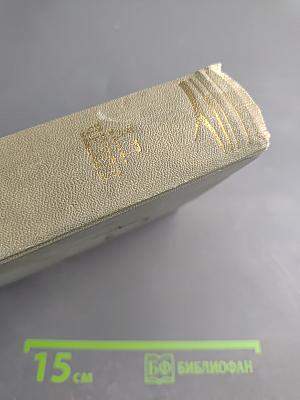 Собрание сочинений. Том четвертый. Рассказы 1886