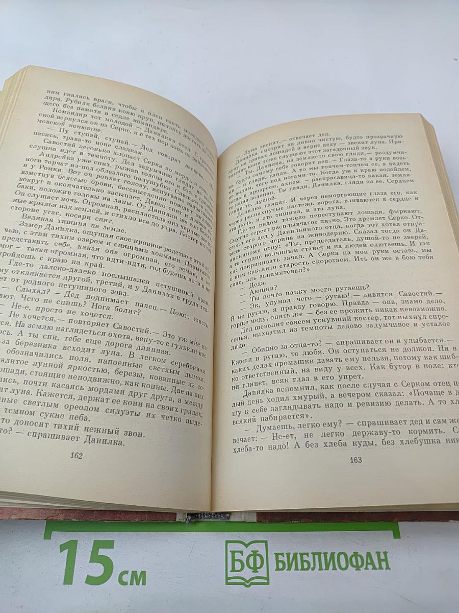 Звенит в ночи луна