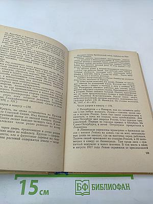 Машинопись