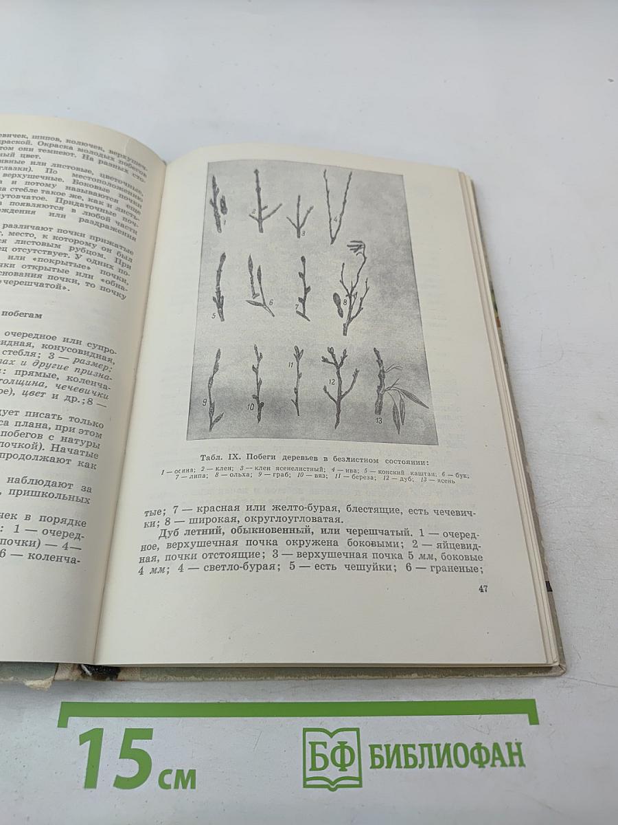 Школьникам О ЛЕСЕ