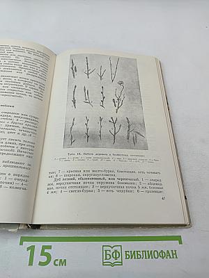 Школьникам О ЛЕСЕ