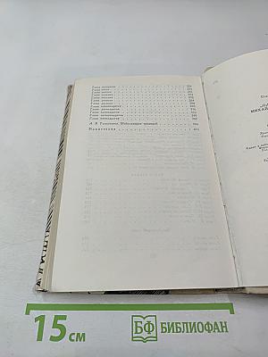 Одеты камнем; Михайловский замок