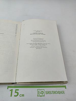 Одеты камнем; Михайловский замок