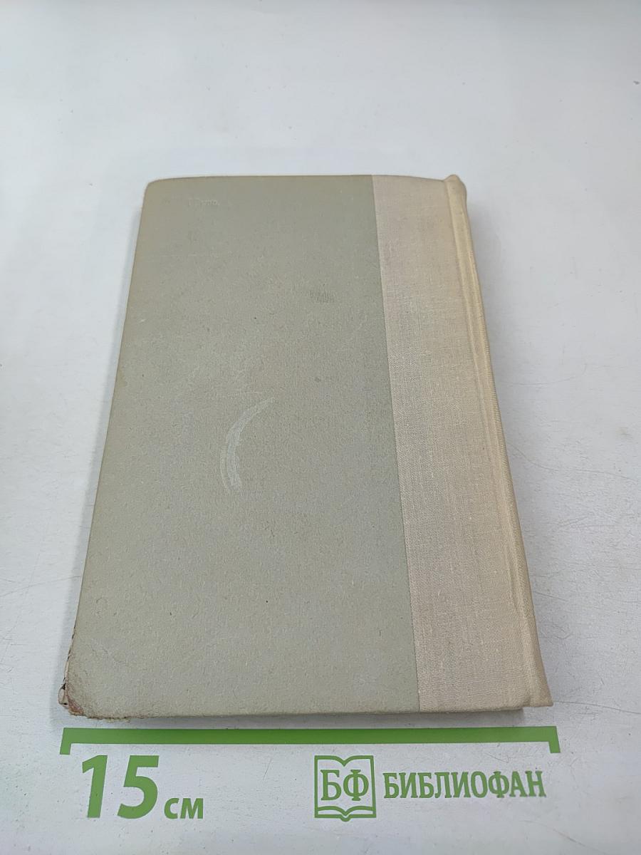 Одеты камнем; Михайловский замок