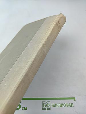 Одеты камнем; Михайловский замок