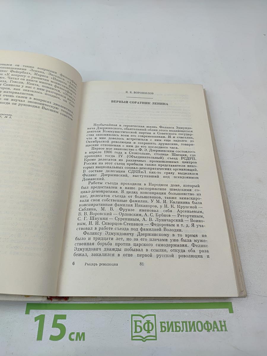 Рыцарь революции