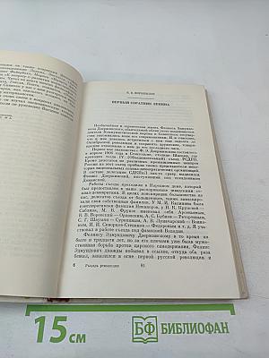 Рыцарь революции