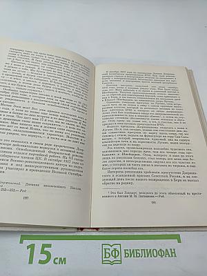 Рыцарь революции