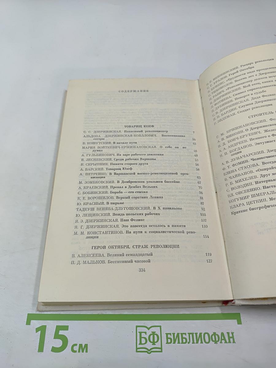 Рыцарь революции