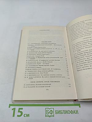 Рыцарь революции