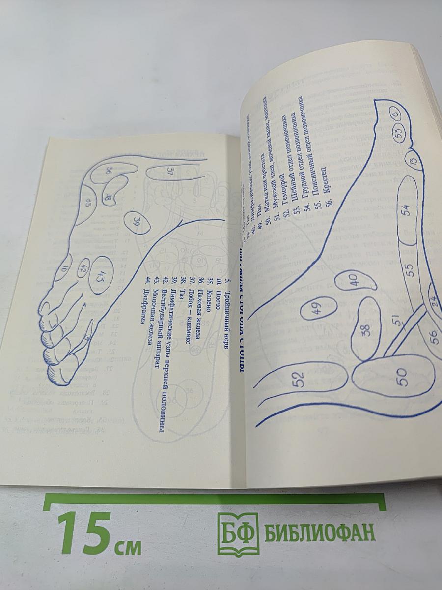 Физическое, умственное и духовное здоровье через питание