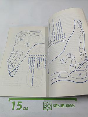 Физическое, умственное и духовное здоровье через питание