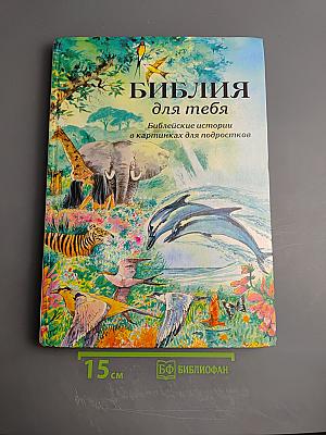 Библия для тебя. Библейские истории в картинках для подростков