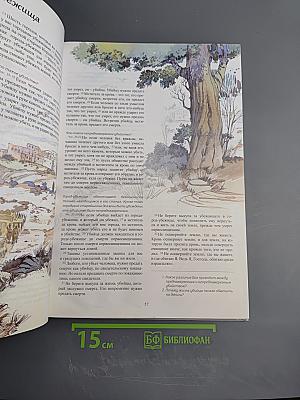 Библия для тебя. Библейские истории в картинках для подростков