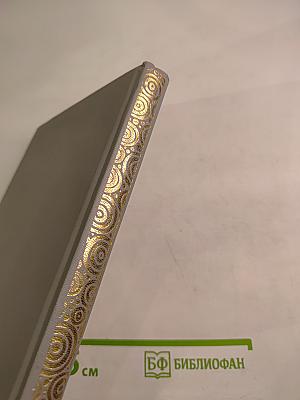 Одиннадцать тысяч палок