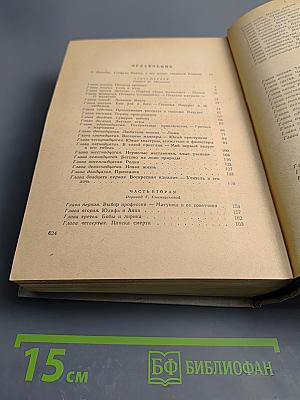 Зеленый Генрих