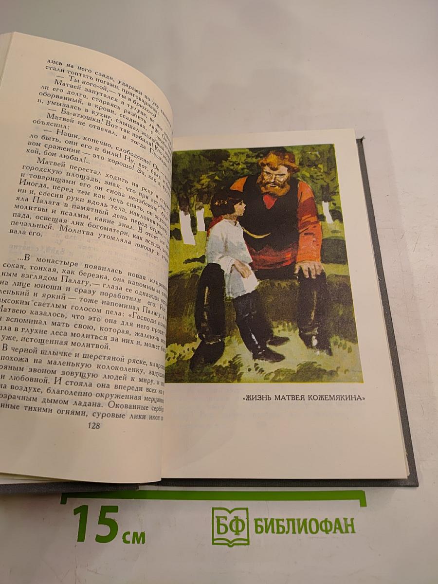 Собрание сочинений в 16 томах. Том 6