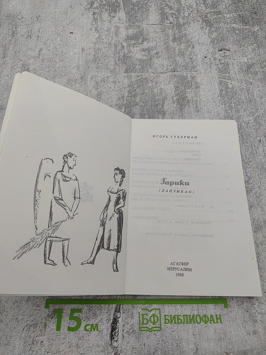 Гарики (Дацзыбао)