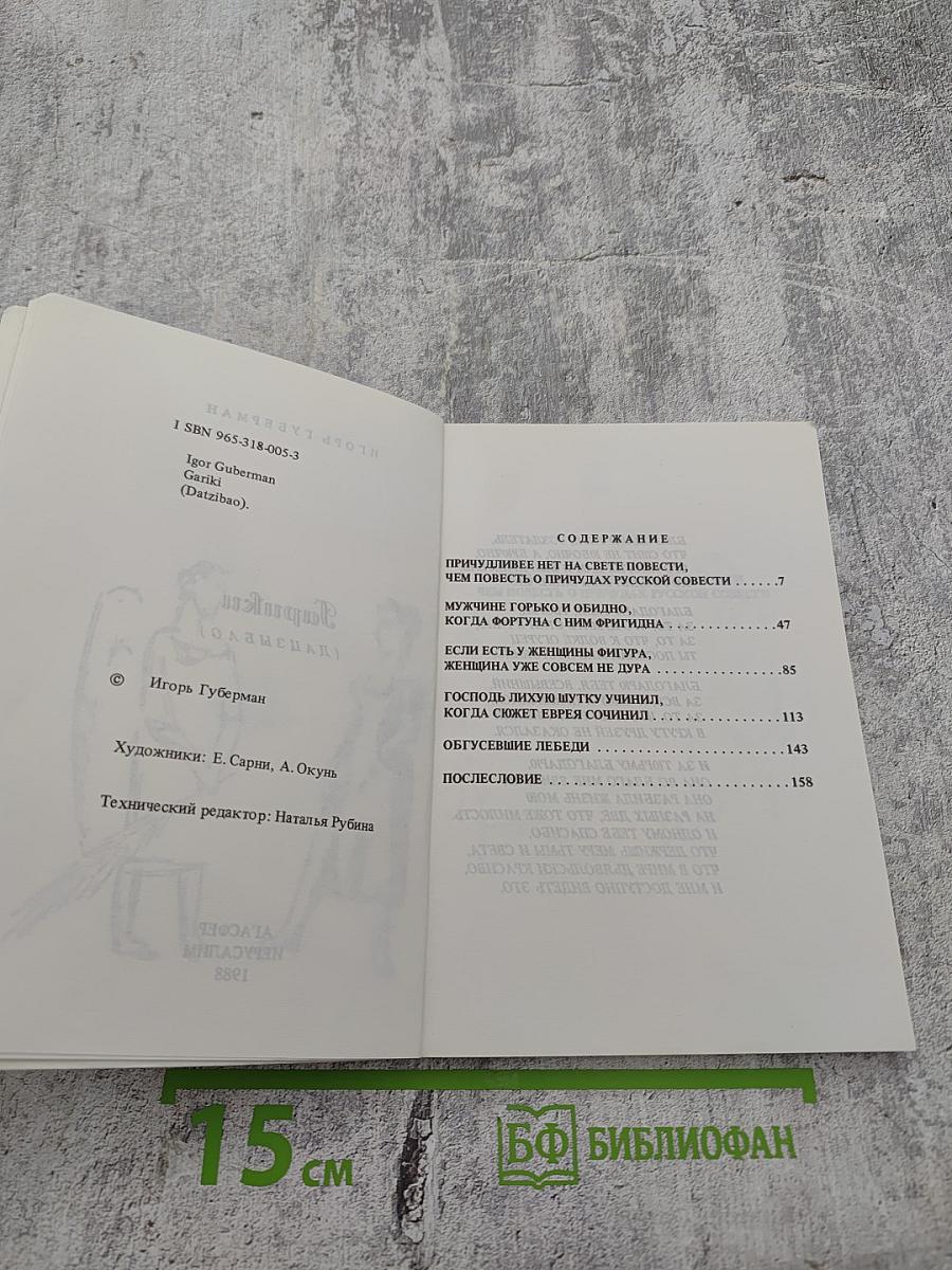 Гарики (Дацзыбао)